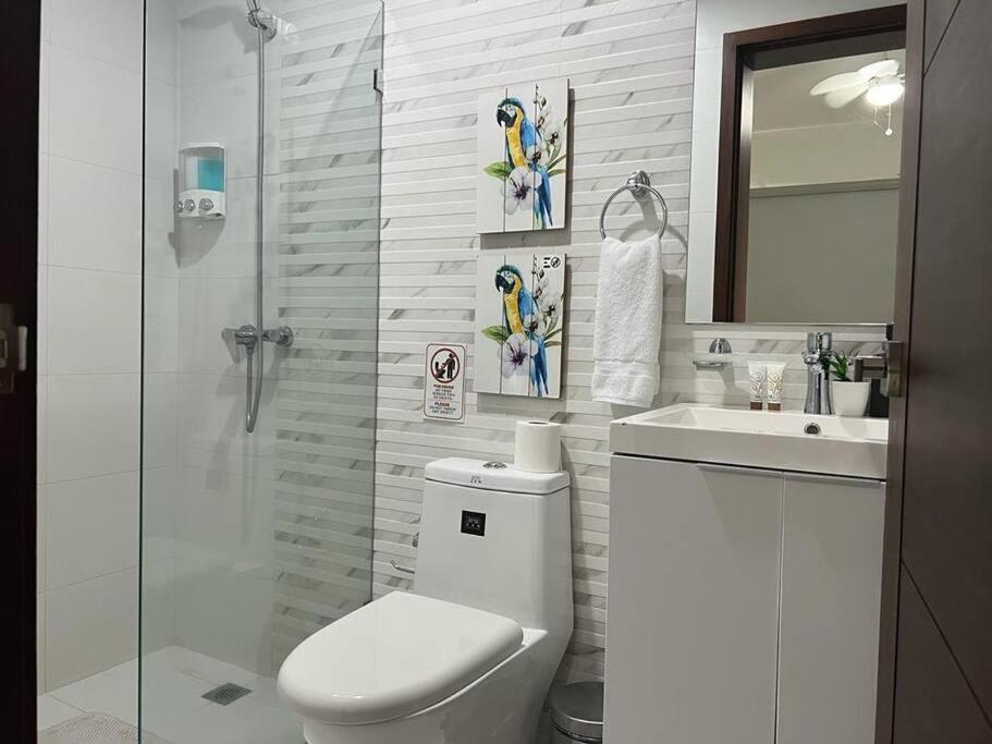 Suites Room Soha II サンティアゴ・デ・ロス・カバリェロス エクステリア 写真
