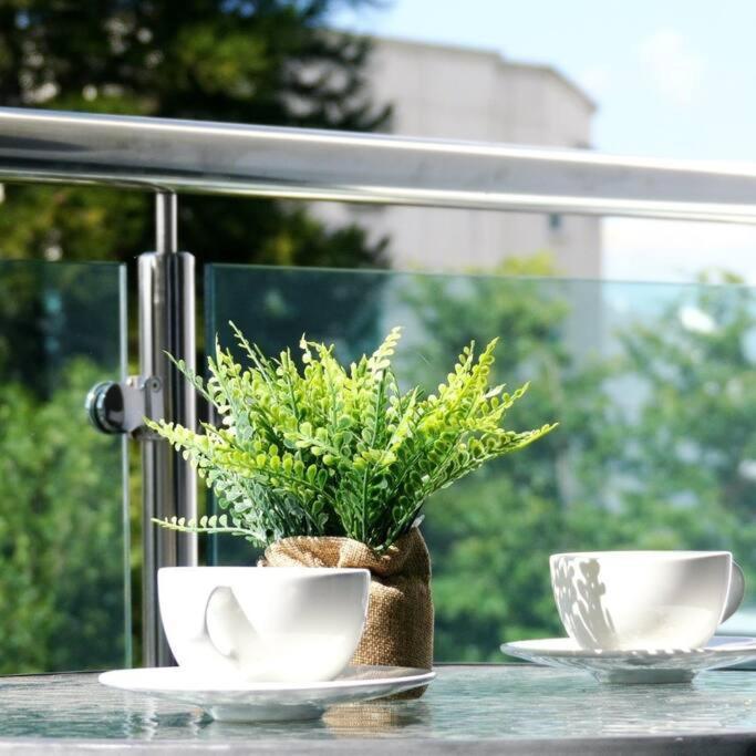 Suites Room Soha II サンティアゴ・デ・ロス・カバリェロス エクステリア 写真